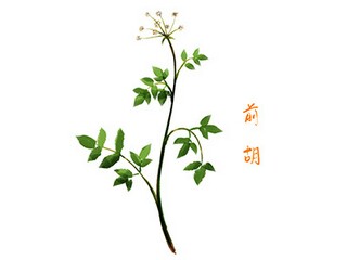 班主任常规工作总结_班主任常规工作记录