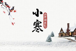 九月九日忆山东兄弟原文_九月九日忆山东兄弟原文赏析及翻译