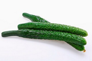 春节放假的通知(春节放假的通知图片)