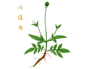 幼儿园春季开学通知(幼儿园春季开学通知图片)