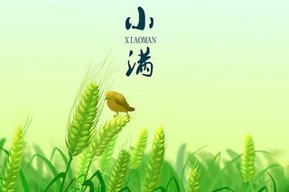 教学工作计划(数学教学工作计划)