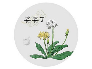 枇杷花开散文(关于夏天枇杷的散文)