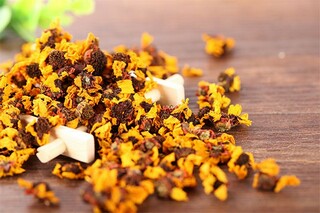 二年级体育与健康教学计划_水平二体育单元教学计划