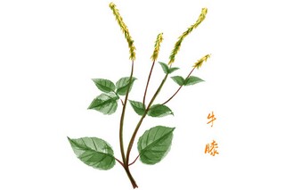 租赁商铺合同_租赁商铺合同