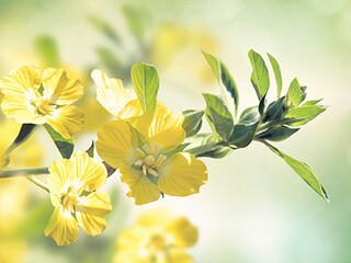 优美伤感的句子_常用优美伤感句子80条
