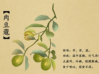 高中迎新晚会主持开场白_高中晚会主持人开场白台词