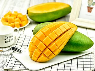 私人大棚租赁合同(私人大棚买卖合同范本)