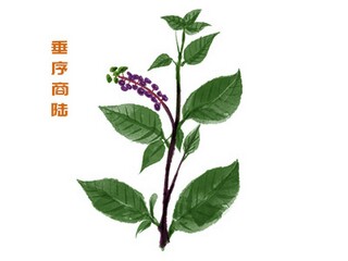 招聘社工面试自我介绍30秒视频_应聘社工面试自我介绍