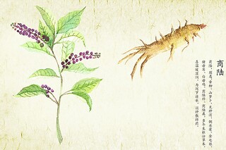 四年级上数学大数的认识公开课_四年级数学上册《大数的认识》说课稿