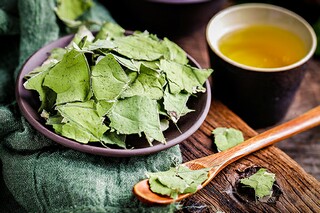一次有趣的经历作文范文_一次有趣的经历作文