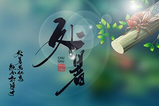 寒假小学作文(寒假小学英语作文)