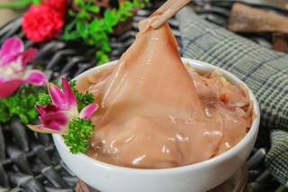 席慕蓉春的散文_席慕蓉的散文原文