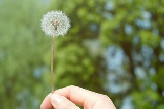 秋季小学体育教学工作计划(秋季的小学体育教学工作计划)
