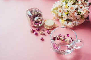 师范生简历怎么做_师范生简历
