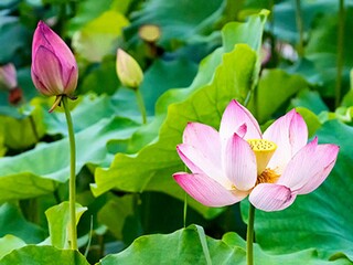 消防安全教育专题活动感悟_全国消防安全宣传教育日讲座学习心得体会