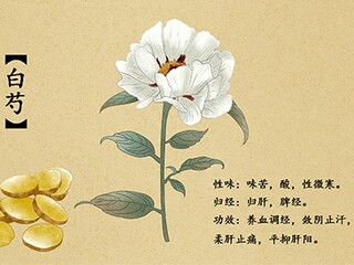 读书原文、翻译注释及赏析(读书原文翻译)