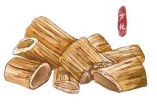 最新初二语文教学计划(初二语文教学大纲)