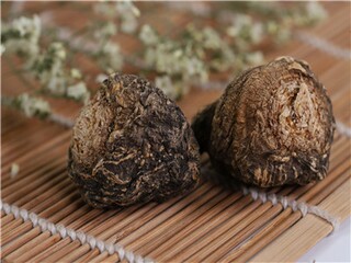 《乘法的初步认识》说课稿_乘法的初步认识教案和试讲逐字稿