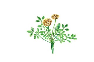一年级优秀作文:国庆节_一年级优秀作文