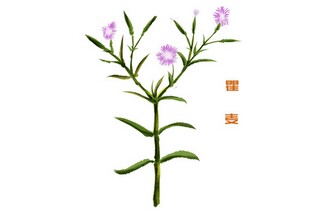 六年级周记怎样写_周记450字六年级上