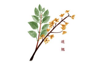 感谢领导的关心和照顾句子(感谢领导关心和照顾句子)