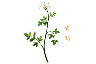 安全教育活动中班教案_中班安全教育活动设计教案