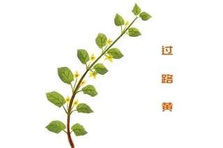 幼儿园鸡年元宵节活动主题方案(幼儿园元宵节活动主题方案)
