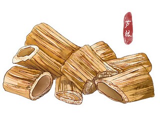 春天花开的唯美句子(春天花开的唯美句子古诗)